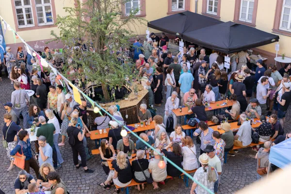 Eventfotograf beim Kulturpreis Aschaffenburg: Live-Musik auf der Bühne im Schönborner Hof