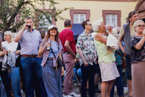 Eventfotograf beim Kulturpreis Aschaffenburg: Live-Musik auf der Bühne im Schönborner Hof