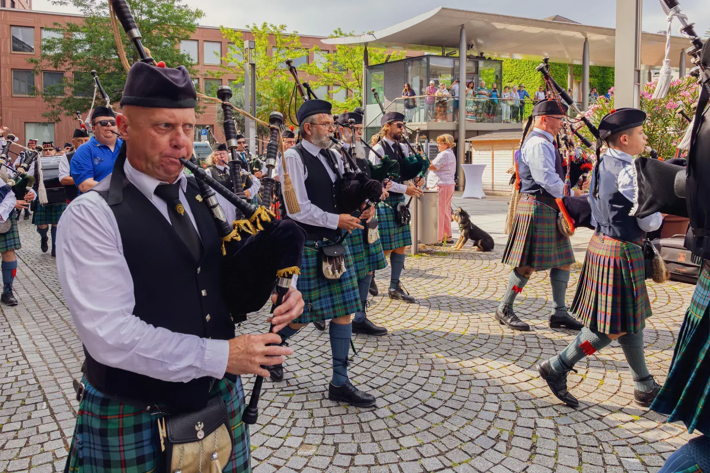 Städtepartnerschaftsfest Aschaffenburg-Perth: Auftritt der Spessart Highlanders
