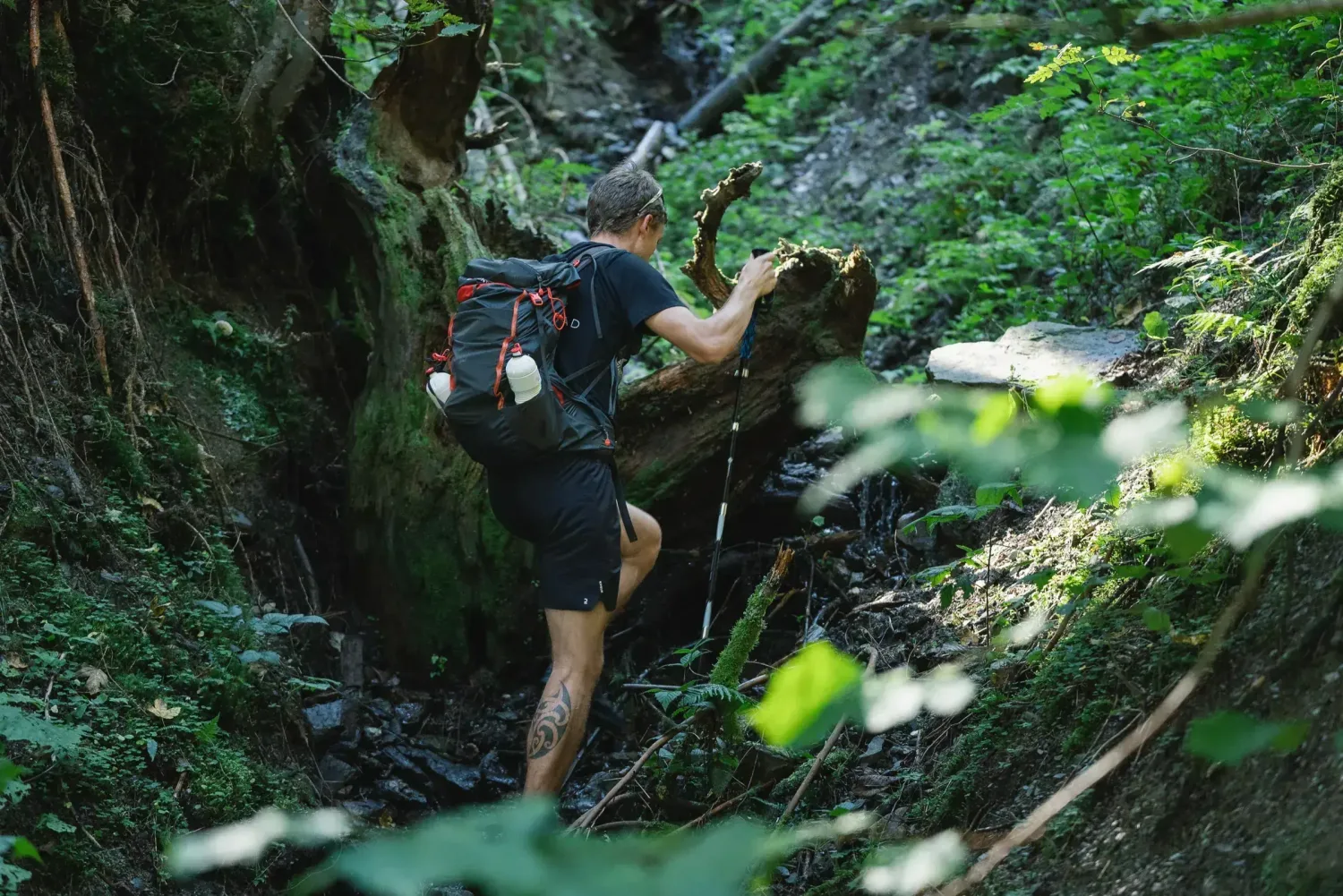 Produktvideo Wanderstöcke: Lichtstimmung zwischen den Bäumen im Wald