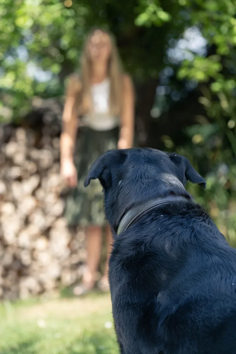 Homestory-Fotoshooting Aschaffenburg: Porträt einer Selbstständigen im eigenen Umfeld