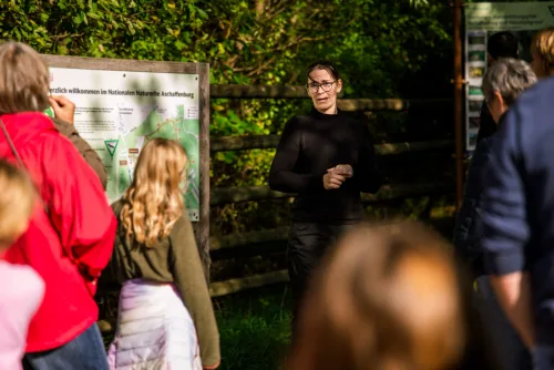 Social-Media-Reel Wildpferde: Impression vom Drehtag während der Führung rund um die Koppel