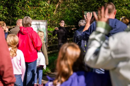 Fotos zum Reel 10 Jahre Nationales Naturerbe: Weidelandschaft der Przewalski-Pferde