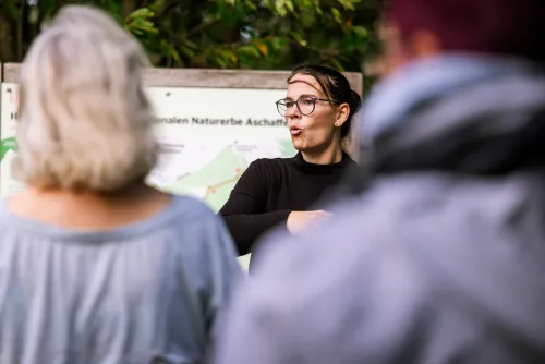 Social-Media-Reel Wildpferde: Impression vom Drehtag während der Führung rund um die Koppel