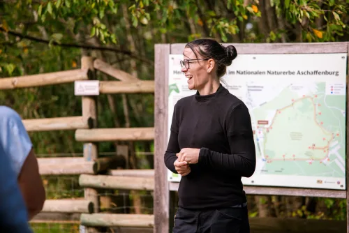 Fotos zum Reel 10 Jahre Nationales Naturerbe: Weidelandschaft der Przewalski-Pferde