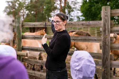 Social-Media-Reel Wildpferde: Impression vom Drehtag während der Führung rund um die Koppel