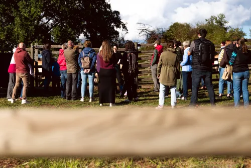 Fotos zum Reel 10 Jahre Nationales Naturerbe: Weidelandschaft der Przewalski-Pferde