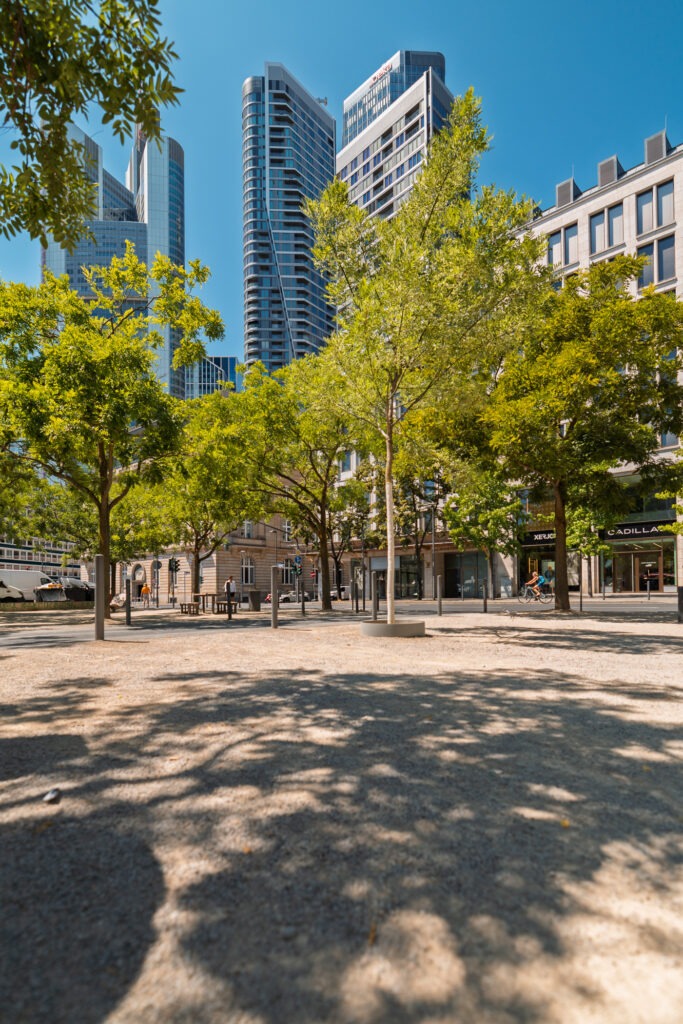 ffm street fotografie